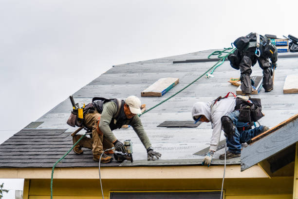 Professional Storm Damage Roof Repair technician working in New Market, TN